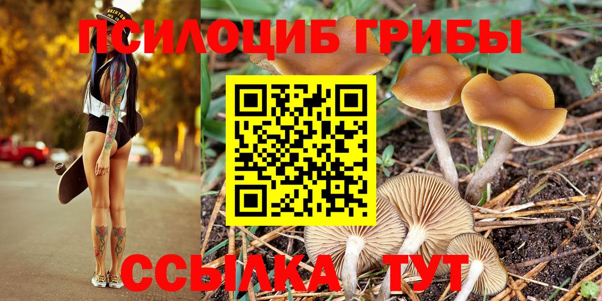 Псилоцибиновые грибы Psilocybe  наркота  Похвистнево  Вход с VPN 